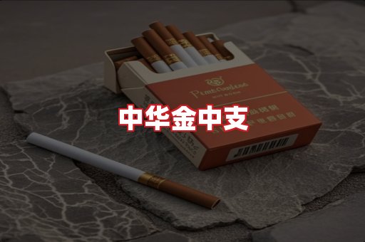 中华金中支